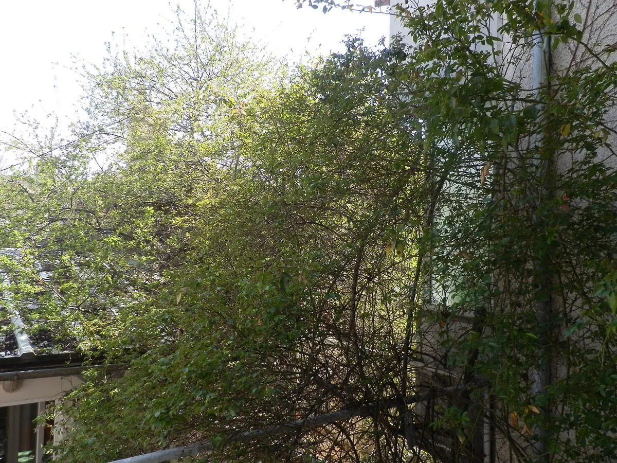 Silver House Varna